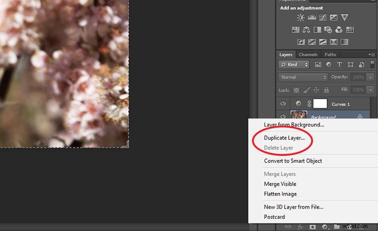Master Pixel Stretching in Photoshop: Step-by-Step Guide for Photographers