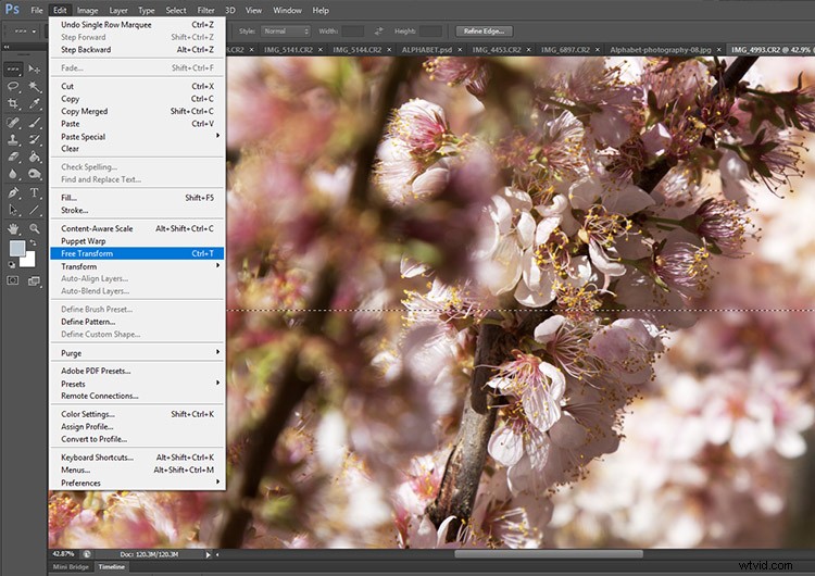 Master Pixel Stretching in Photoshop: Step-by-Step Guide for Photographers