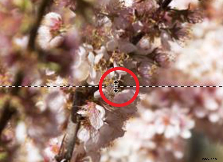 Master Pixel Stretching in Photoshop: Step-by-Step Guide for Photographers