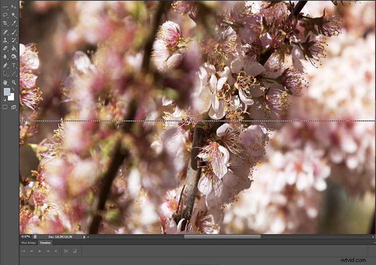 Master Pixel Stretching in Photoshop: Step-by-Step Guide for Photographers