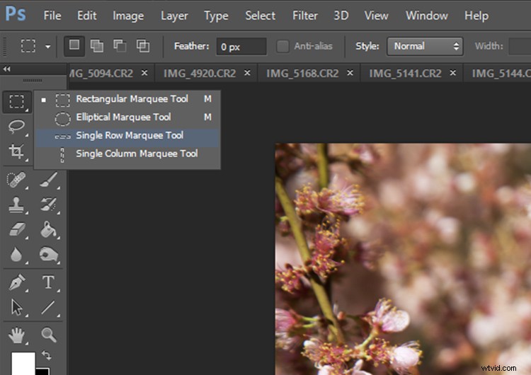 Master Pixel Stretching in Photoshop: Step-by-Step Guide for Photographers