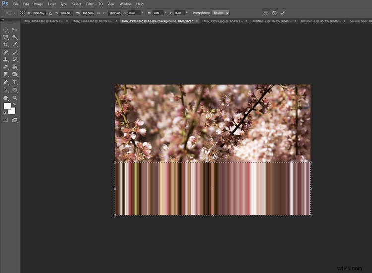 Master Pixel Stretching in Photoshop: Step-by-Step Guide for Photographers