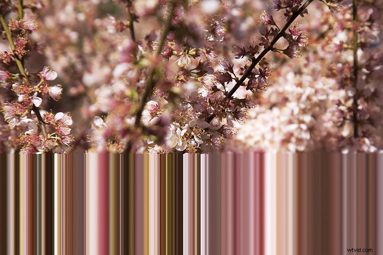 Master Pixel Stretching in Photoshop: Step-by-Step Guide for Photographers