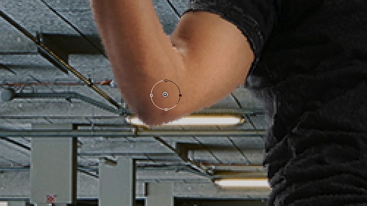 Master Puppet Warp in Photoshop: Step-by-Step Guide to Effortless Image Distortion