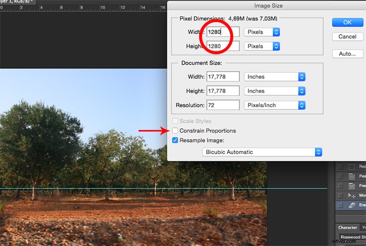 Create Stunning Little Planet Effects in Photoshop: Quick & Easy Guide