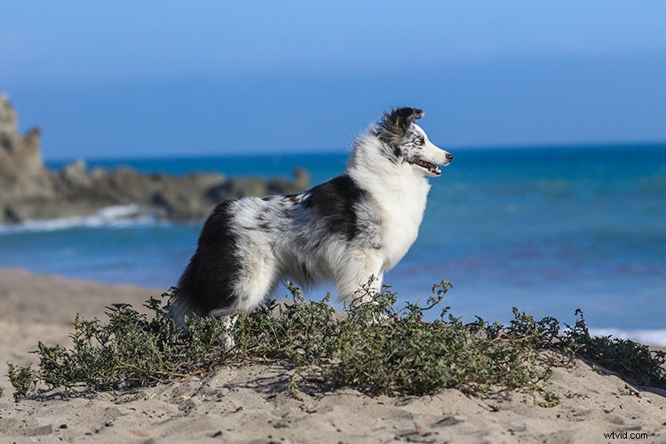 Photoshop Tutorial: Create Realistic Artificial Sunset Effects