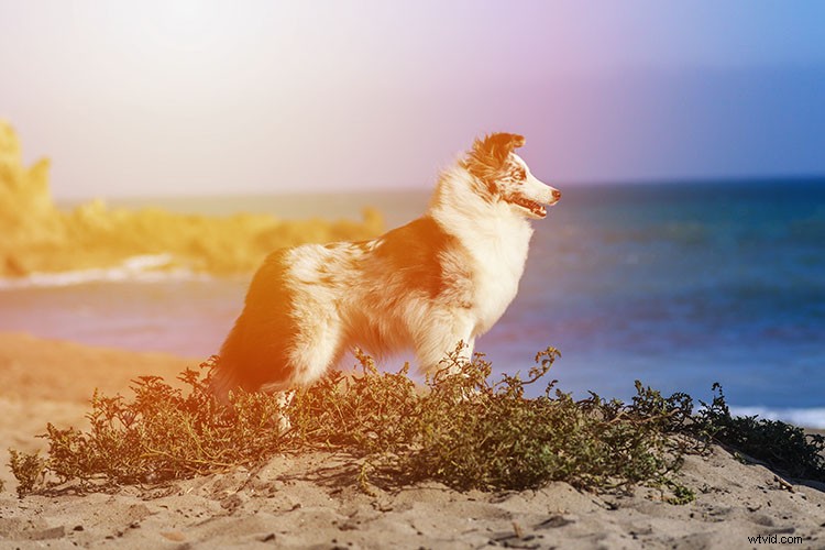 Photoshop Tutorial: Create Realistic Artificial Sunset Effects