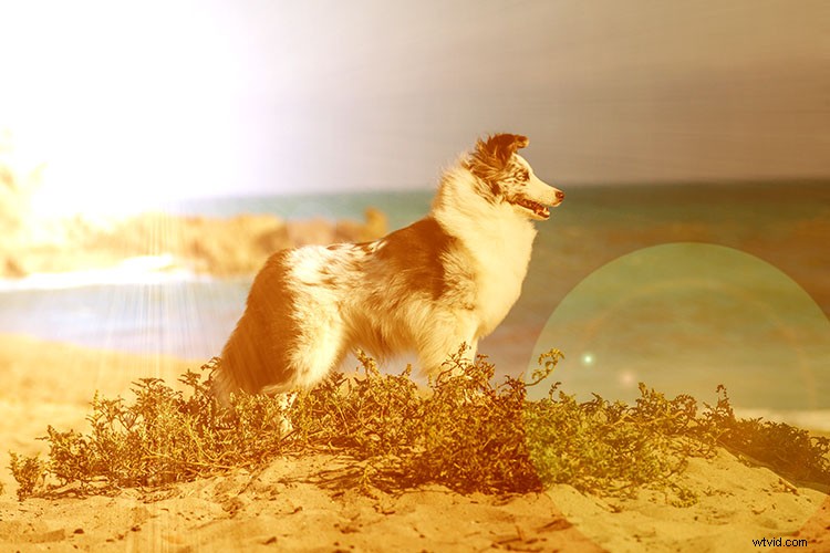 Photoshop Tutorial: Create Realistic Artificial Sunset Effects