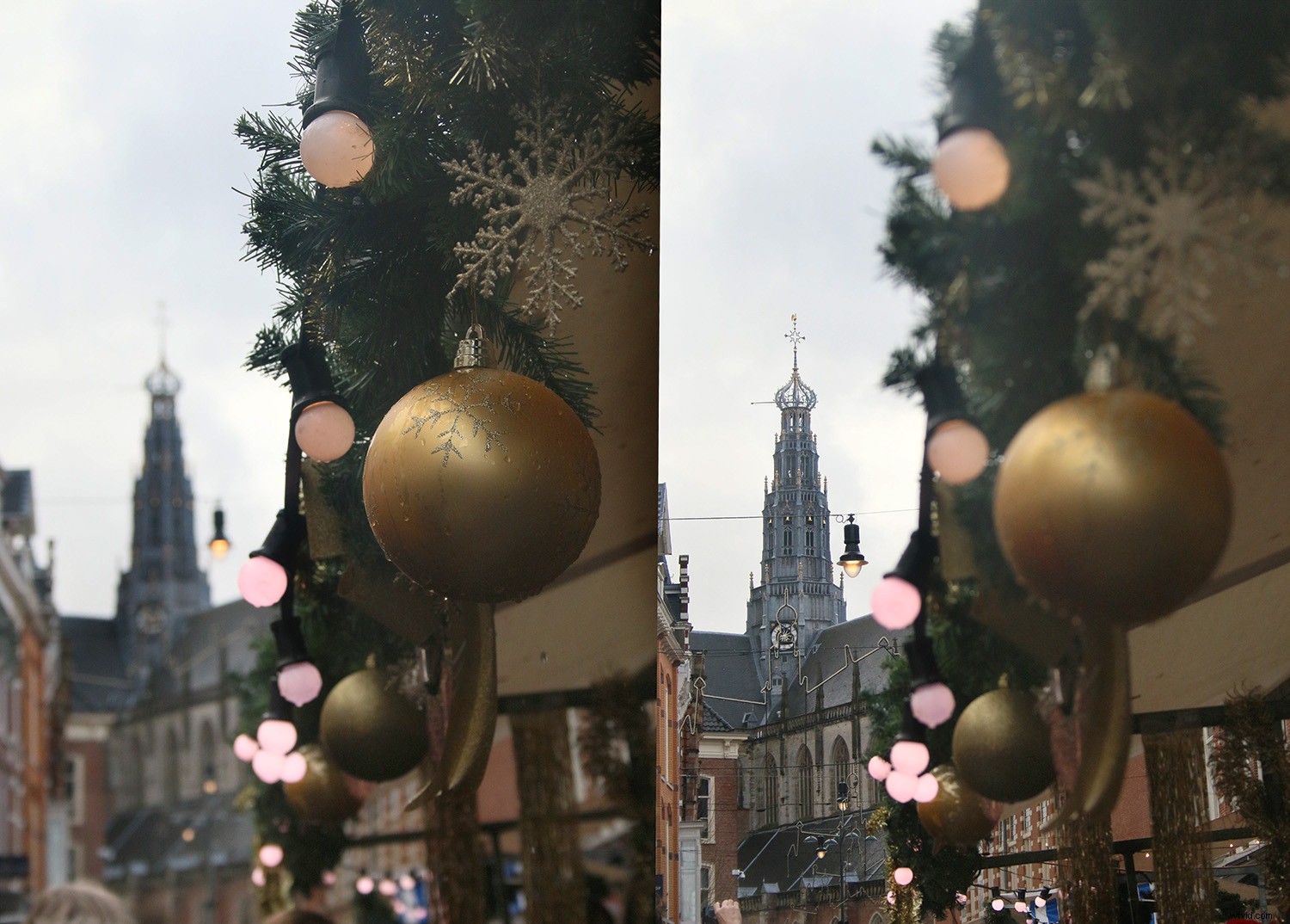 Master Focus Stacking in Photoshop: Achieve Infinite Depth of Field