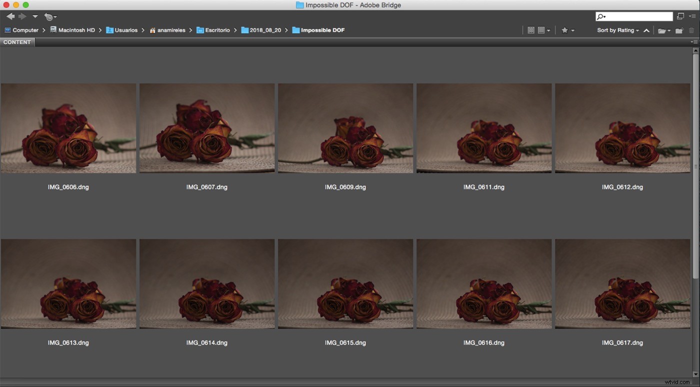 Master Focus Stacking in Photoshop: Achieve Infinite Depth of Field