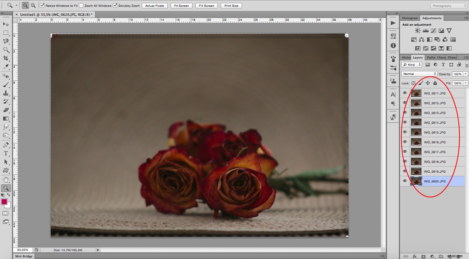 Master Focus Stacking in Photoshop: Achieve Infinite Depth of Field
