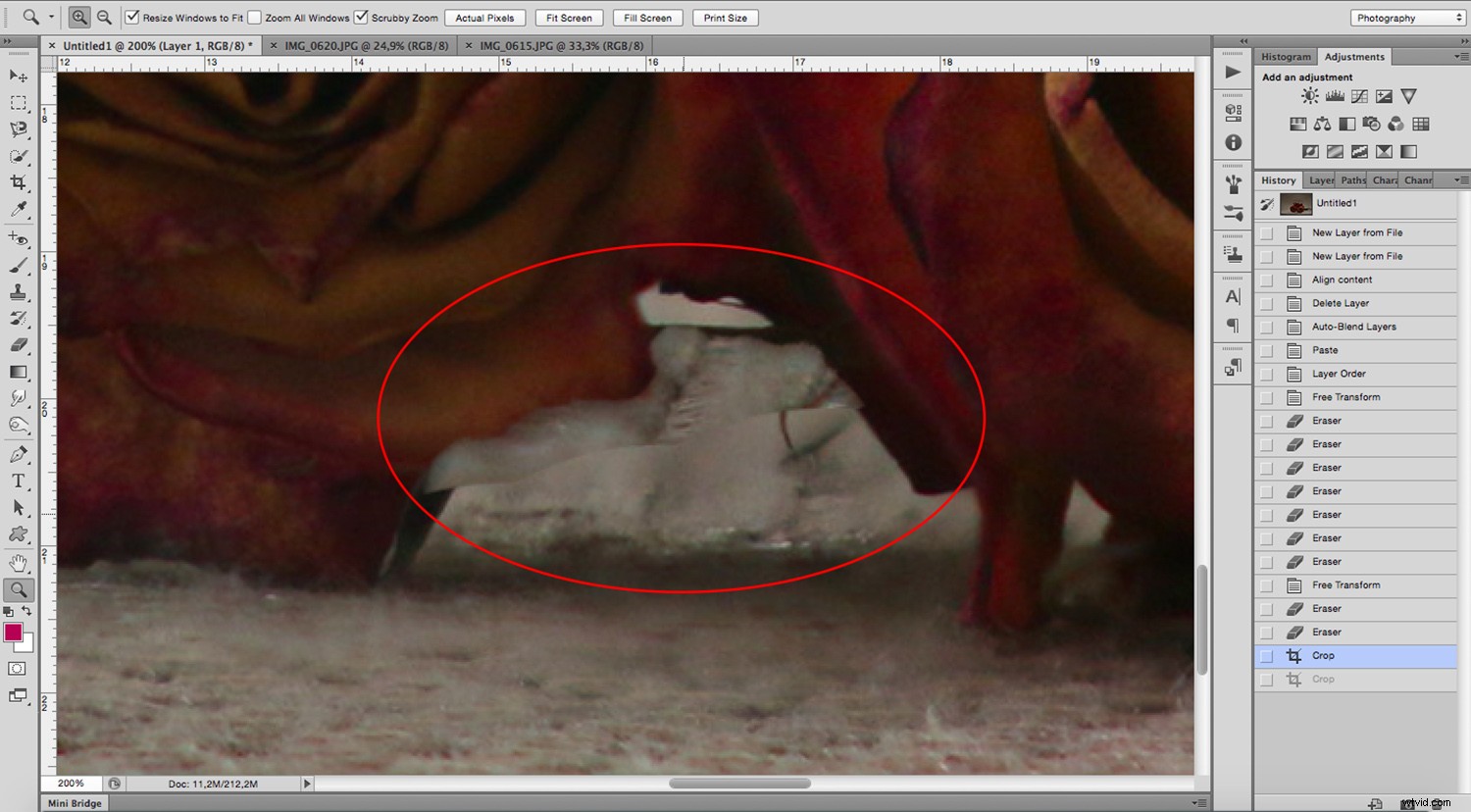 Master Focus Stacking in Photoshop: Achieve Infinite Depth of Field