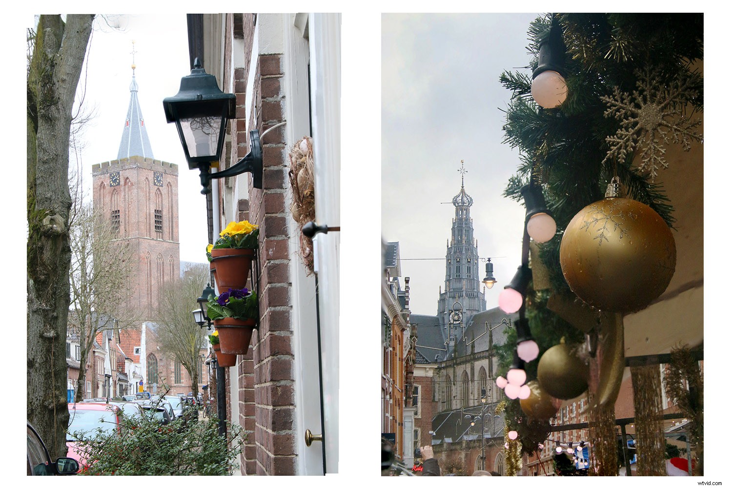 Master Focus Stacking in Photoshop: Achieve Infinite Depth of Field