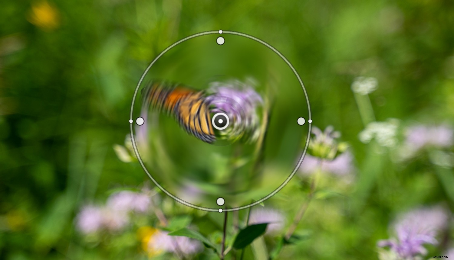 Create Stunning Swirly Bokeh in Photoshop: Helios Lens Effect Tutorial