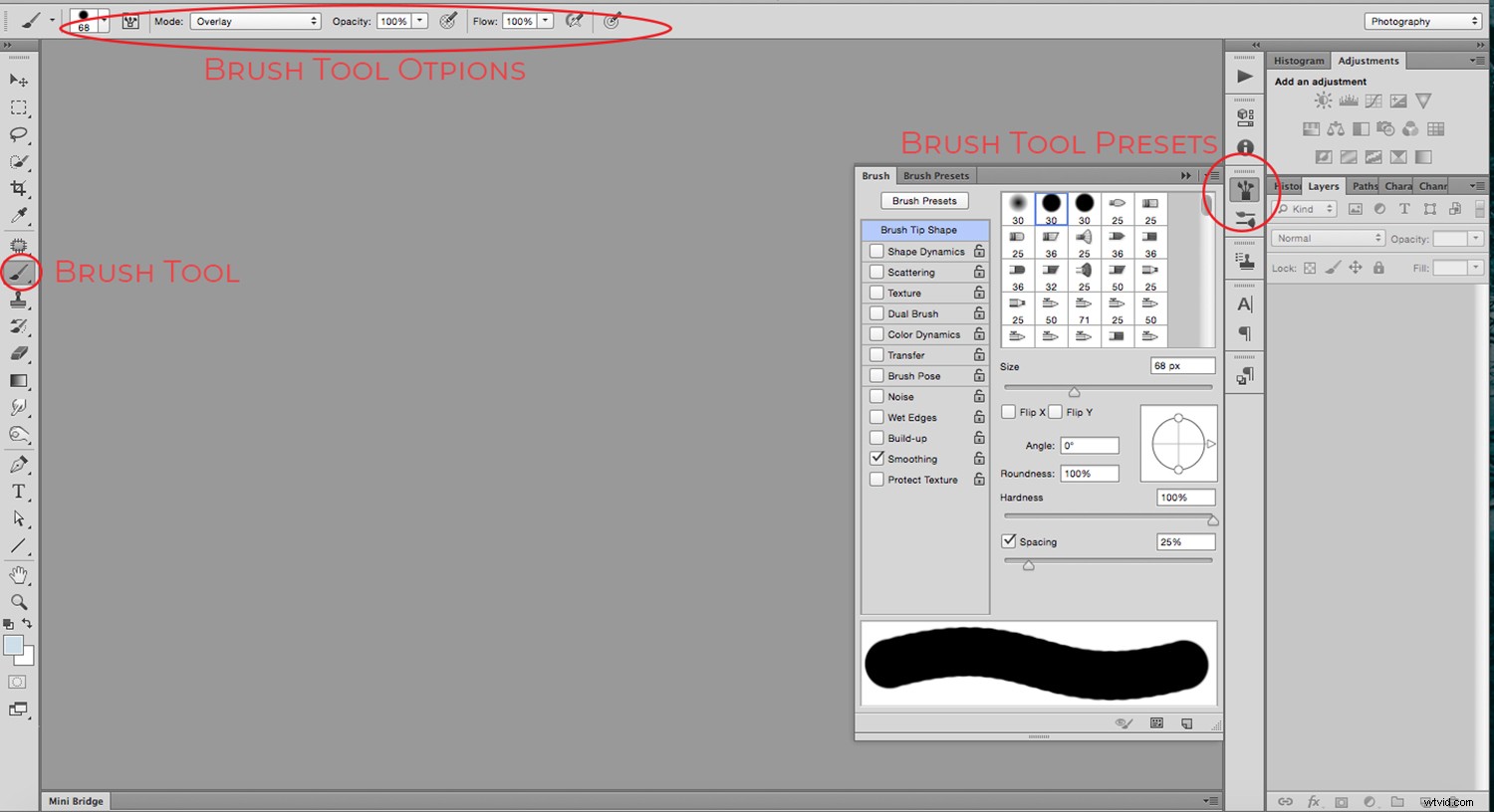 Create Custom Brushes in Photoshop: Step-by-Step Tutorial
