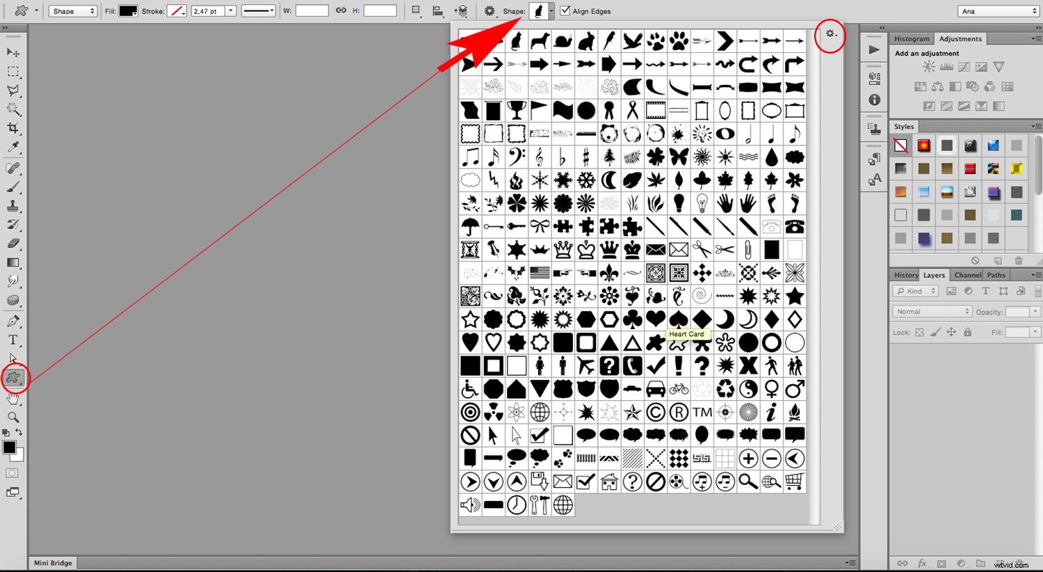 Create Stunning Image-Filled Shapes in Photoshop: Easy Step-by-Step Guide