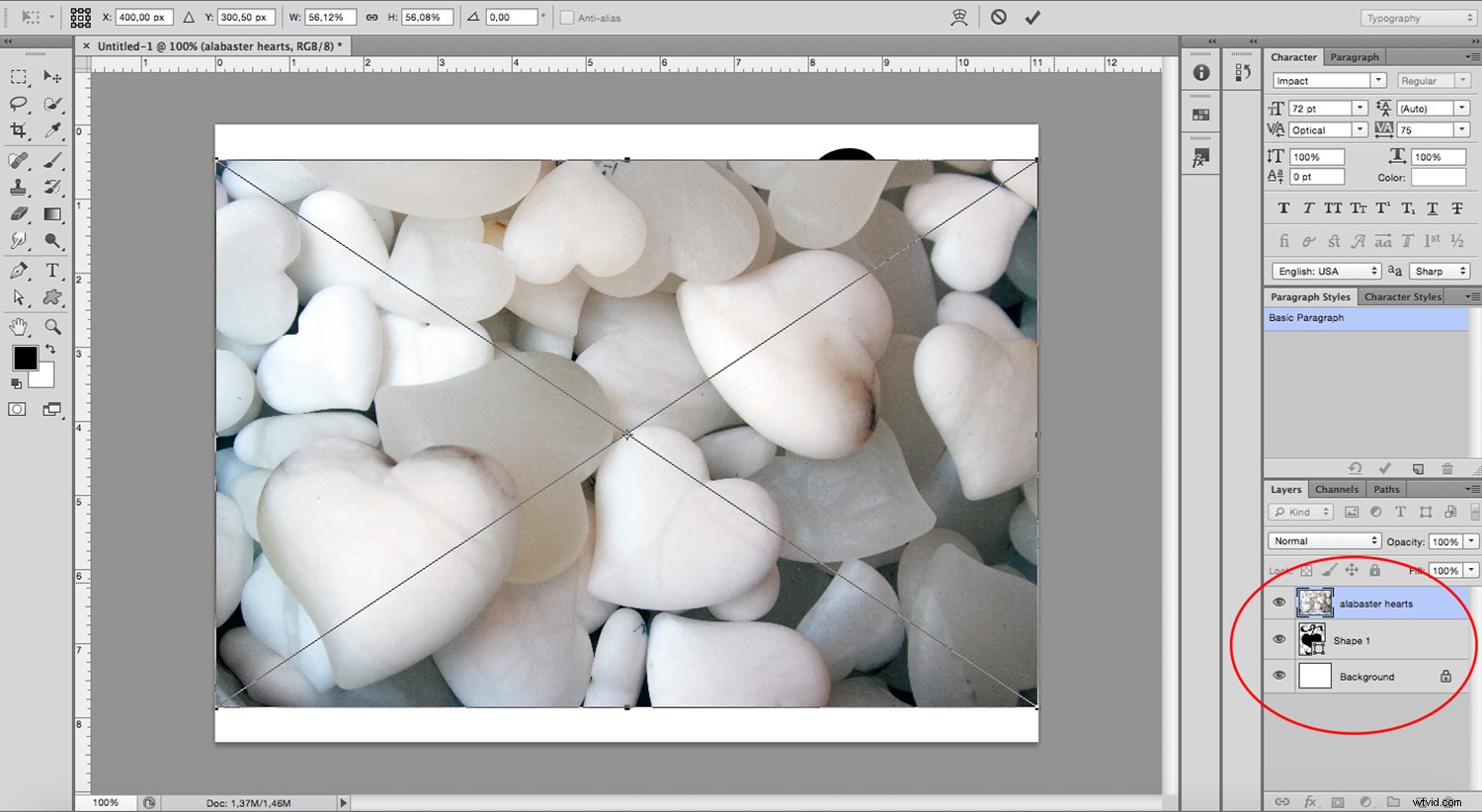 Create Stunning Image-Filled Shapes in Photoshop: Easy Step-by-Step Guide