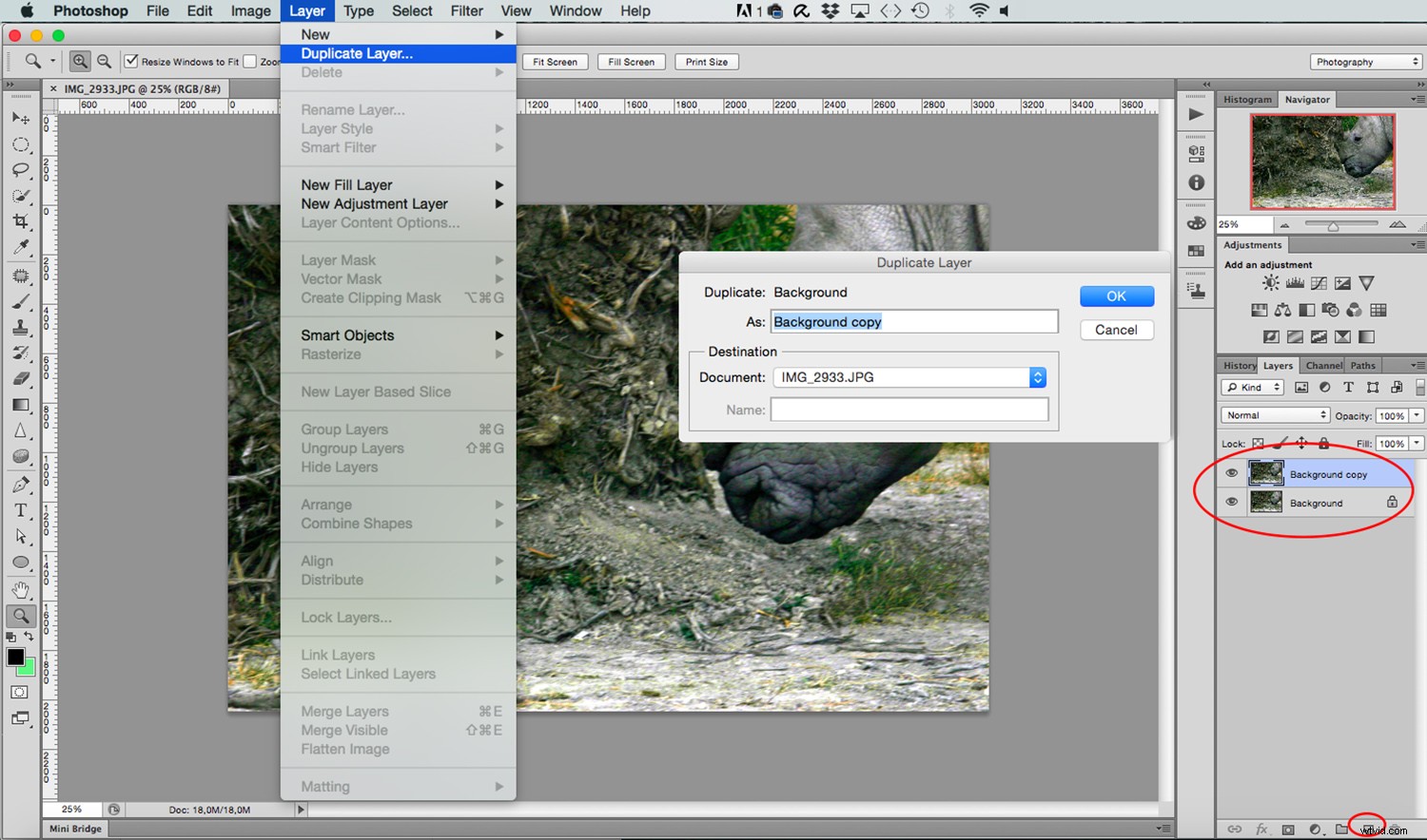 Master Multiple Exposure Effects in Photoshop: Step-by-Step Guide