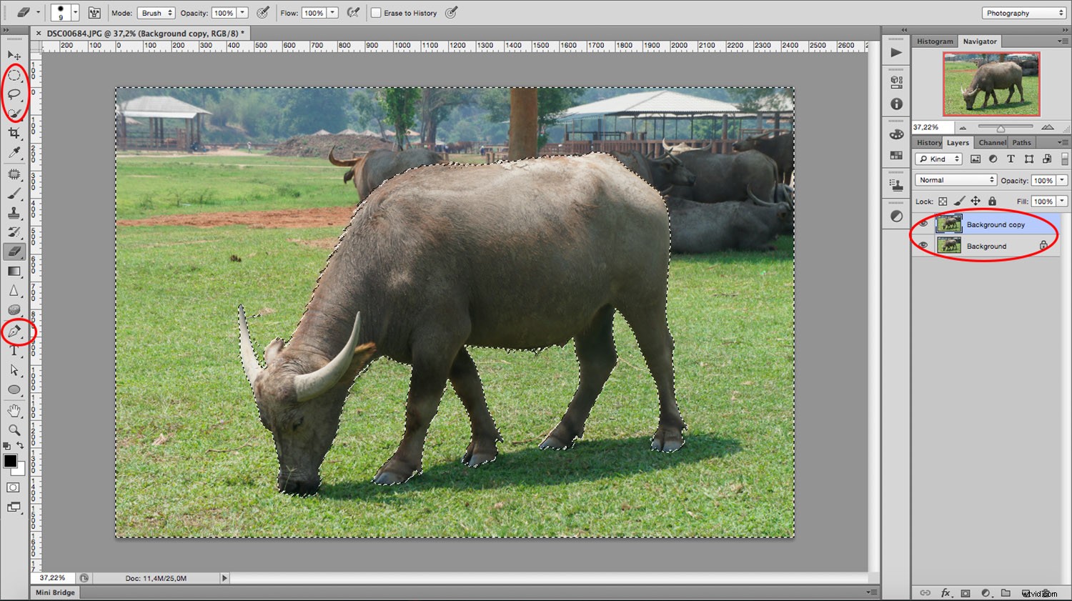 Master Multiple Exposure Effects in Photoshop: Step-by-Step Guide