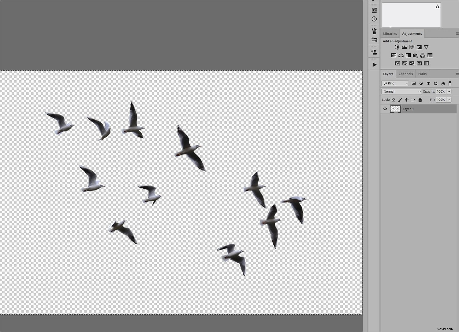 Enhance Portraits with Creative Overlays: Easy Photoshop Tutorial