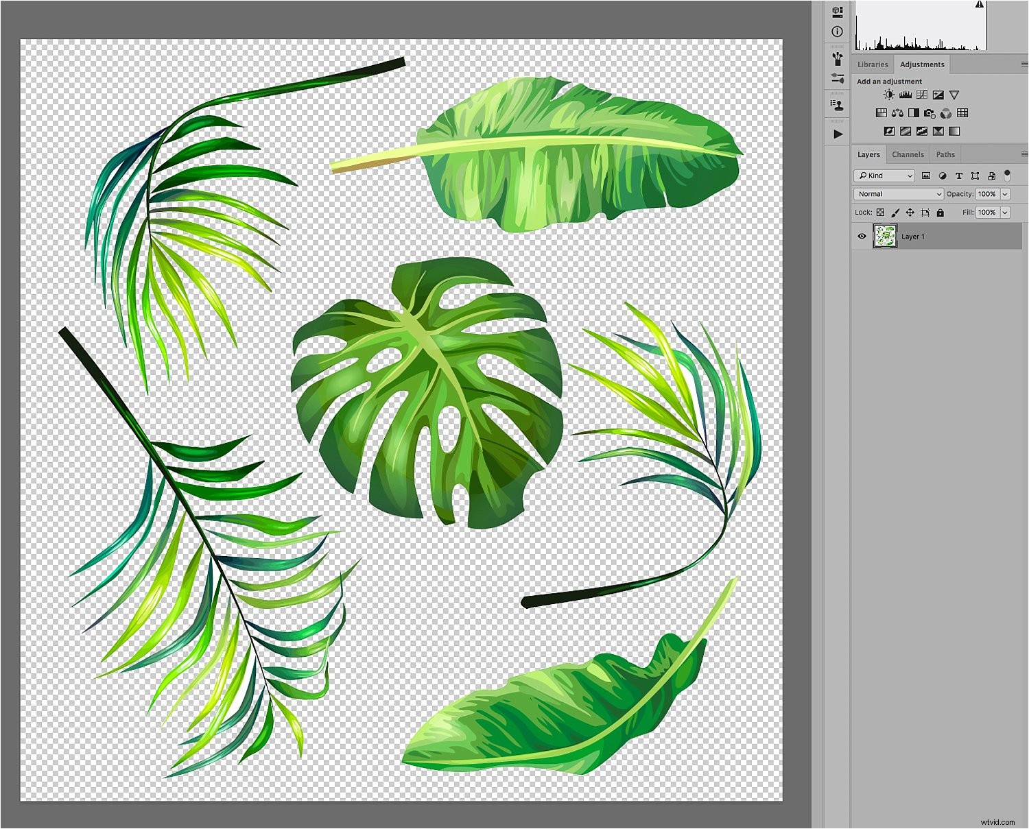 Enhance Portraits with Creative Overlays: Easy Photoshop Tutorial