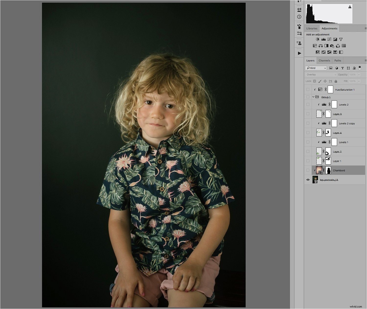 Enhance Portraits with Creative Overlays: Easy Photoshop Tutorial