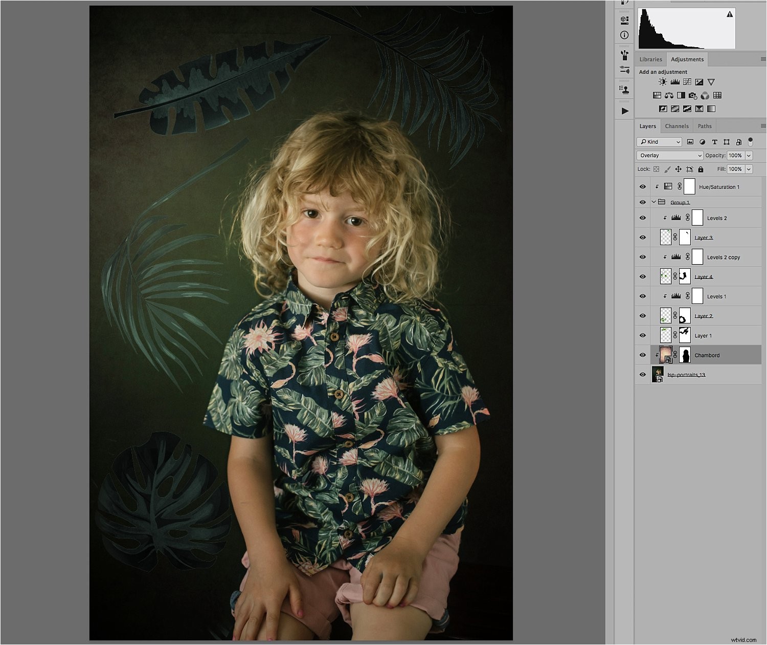 Enhance Portraits with Creative Overlays: Easy Photoshop Tutorial