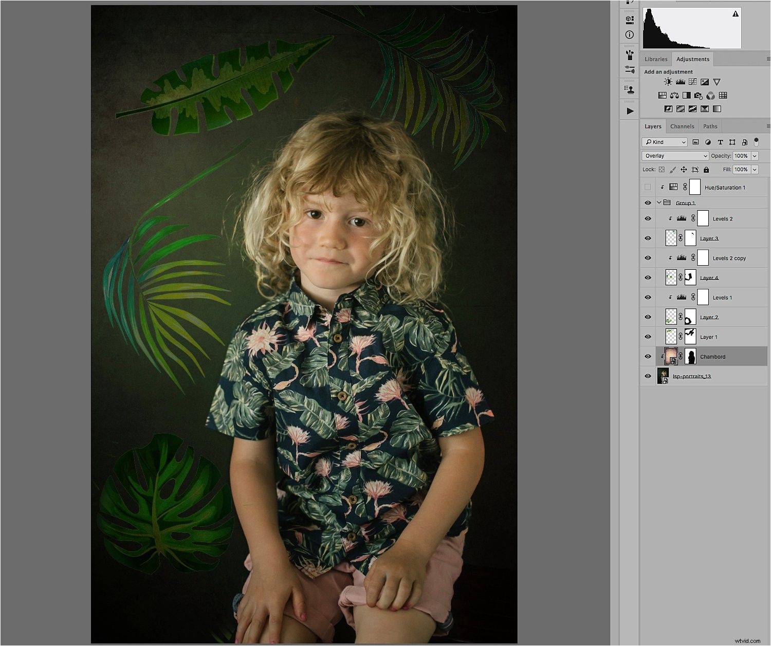 Enhance Portraits with Creative Overlays: Easy Photoshop Tutorial