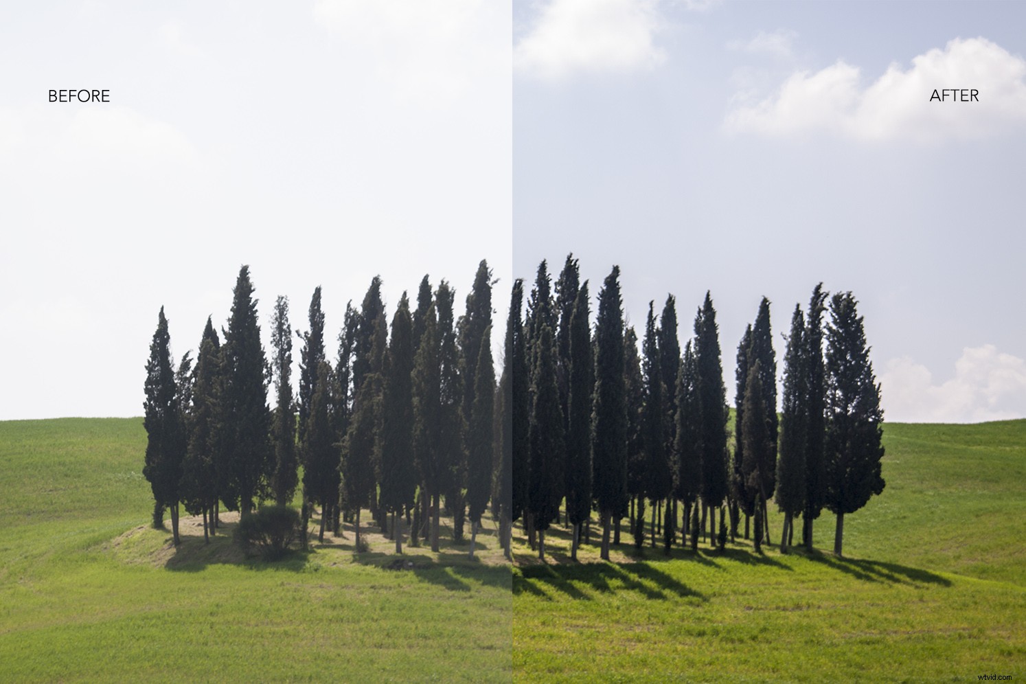 Beginner s Guide to Processing RAW Files in Adobe Camera Raw (Photoshop)