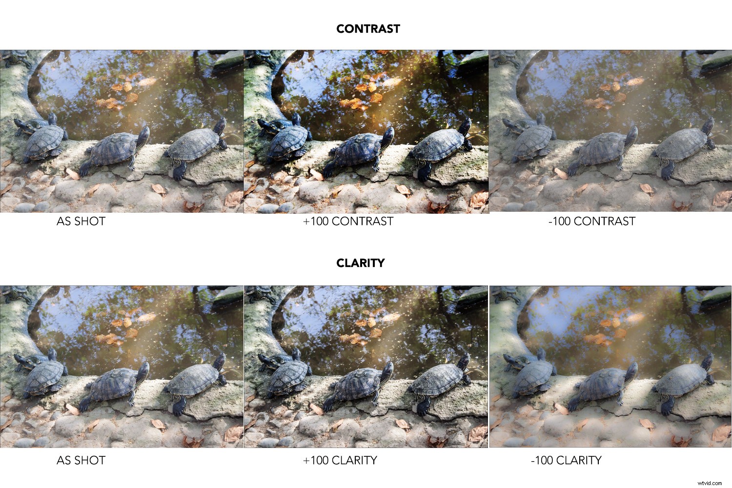 Beginner s Guide to Processing RAW Files in Adobe Camera Raw (Photoshop)