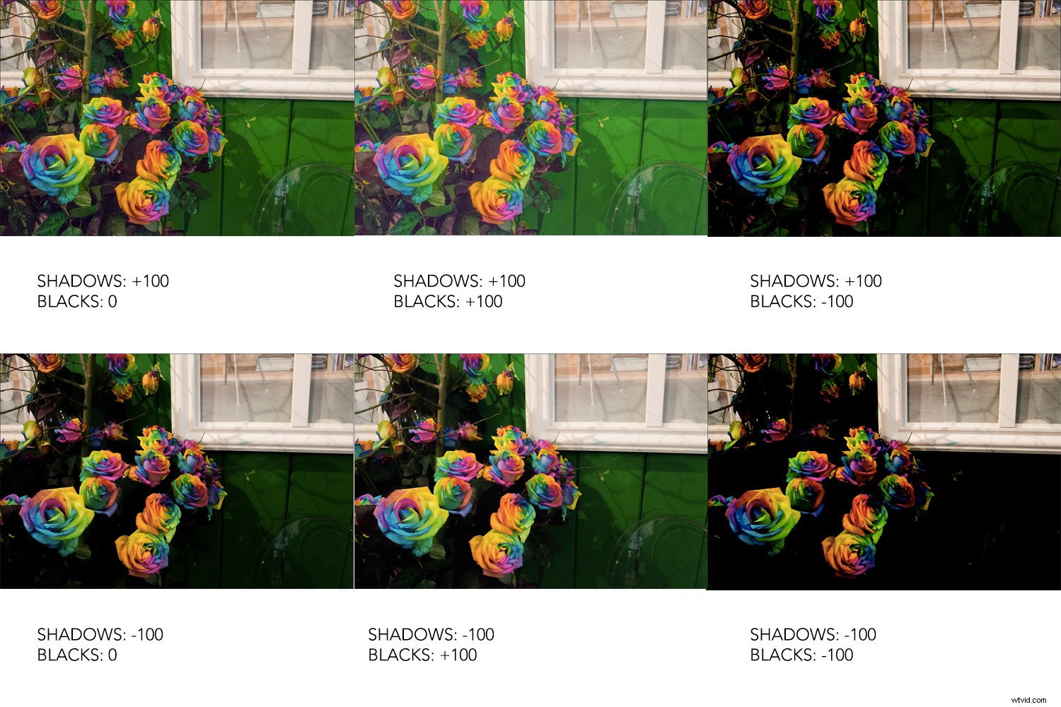 Beginner s Guide to Processing RAW Files in Adobe Camera Raw (Photoshop)