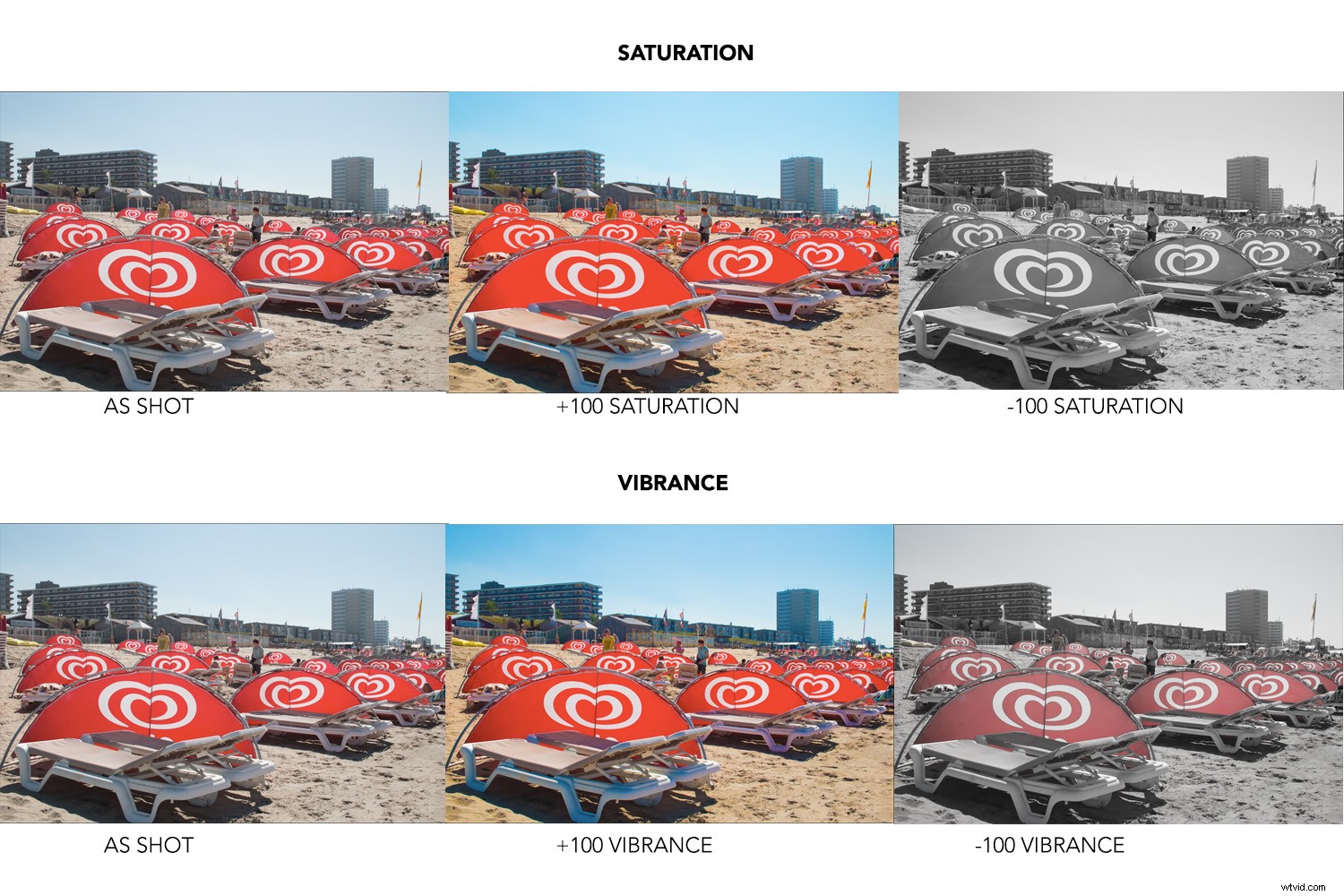 Beginner s Guide to Processing RAW Files in Adobe Camera Raw (Photoshop)