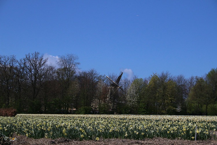 Master Sky Replacement in Photoshop: 2 Proven Techniques