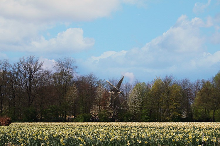 Master Sky Replacement in Photoshop: 2 Proven Techniques