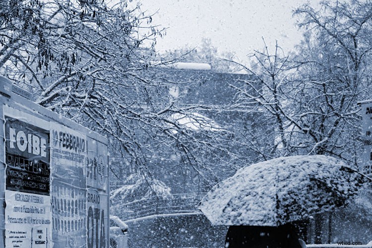 3 Expert Ways to Master Tonal Effects in Photoshop