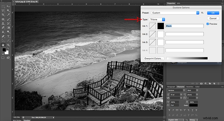 3 Expert Ways to Master Tonal Effects in Photoshop