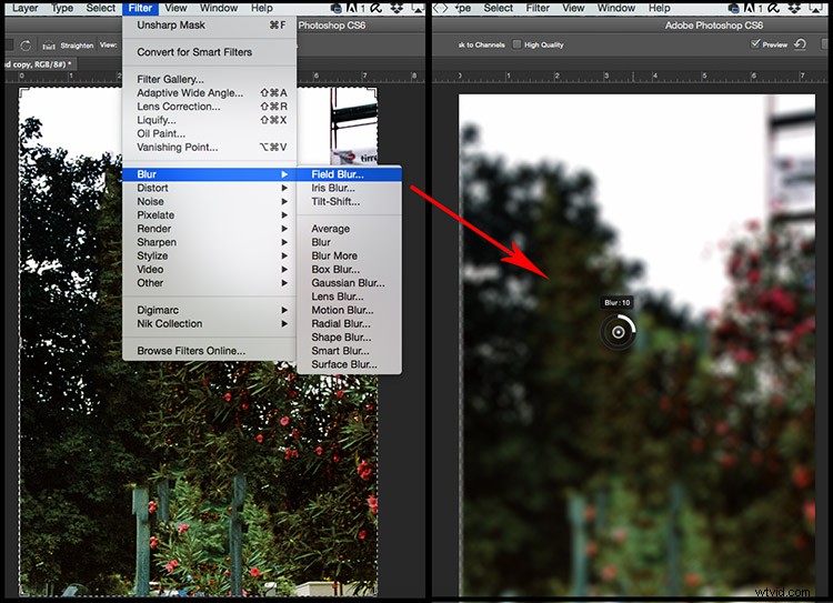 Create Realistic Shallow Depth of Field in Photoshop: Step-by-Step Tutorial