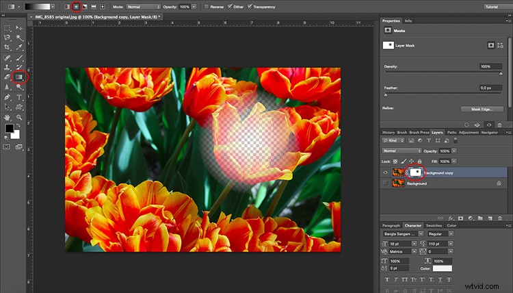 Create Realistic Shallow Depth of Field in Photoshop: Step-by-Step Tutorial