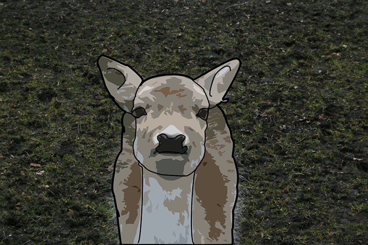 Transform Your Photo into a Stunning Cartoon Drawing with Photoshop: Step-by-Step Tutorial