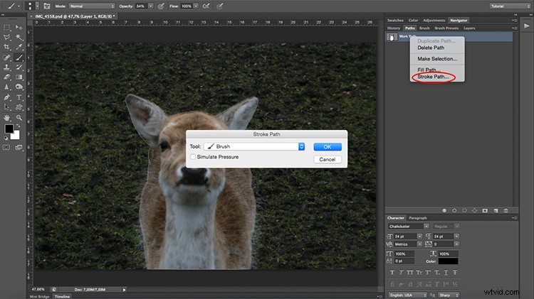 Transform Your Photo into a Stunning Cartoon Drawing with Photoshop: Step-by-Step Tutorial