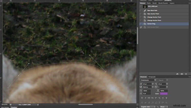 Transform Your Photo into a Stunning Cartoon Drawing with Photoshop: Step-by-Step Tutorial