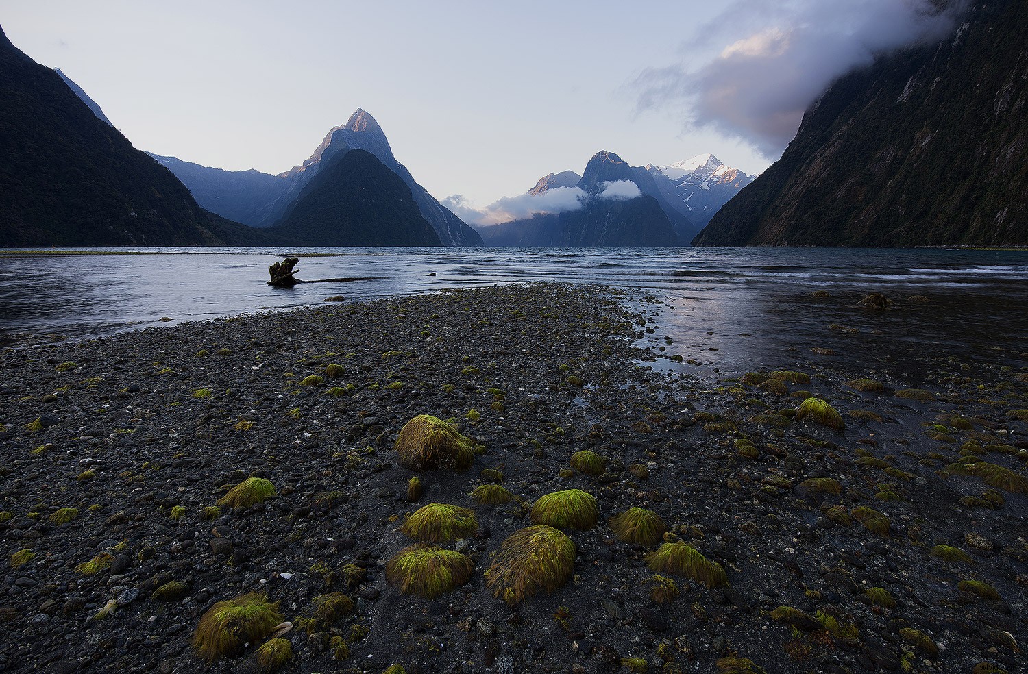 Photoshop Tutorial: Resize and Sharpen Images for Crisp Web Results