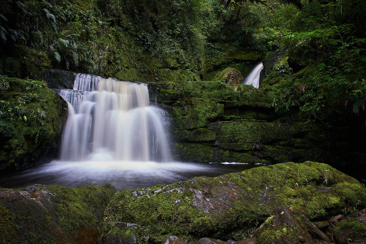 Photoshop Tutorial: Resize and Sharpen Images for Crisp Web Results