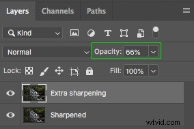 Photoshop Tutorial: Resize and Sharpen Images for Crisp Web Results