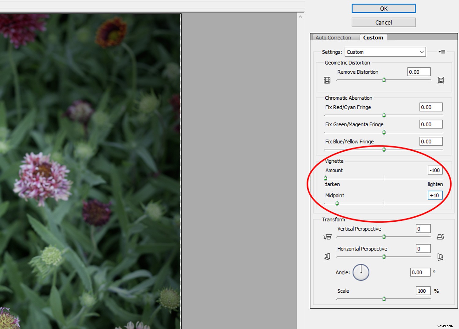 Create Authentic Toy Camera Effects in Photoshop: Step-by-Step Guide