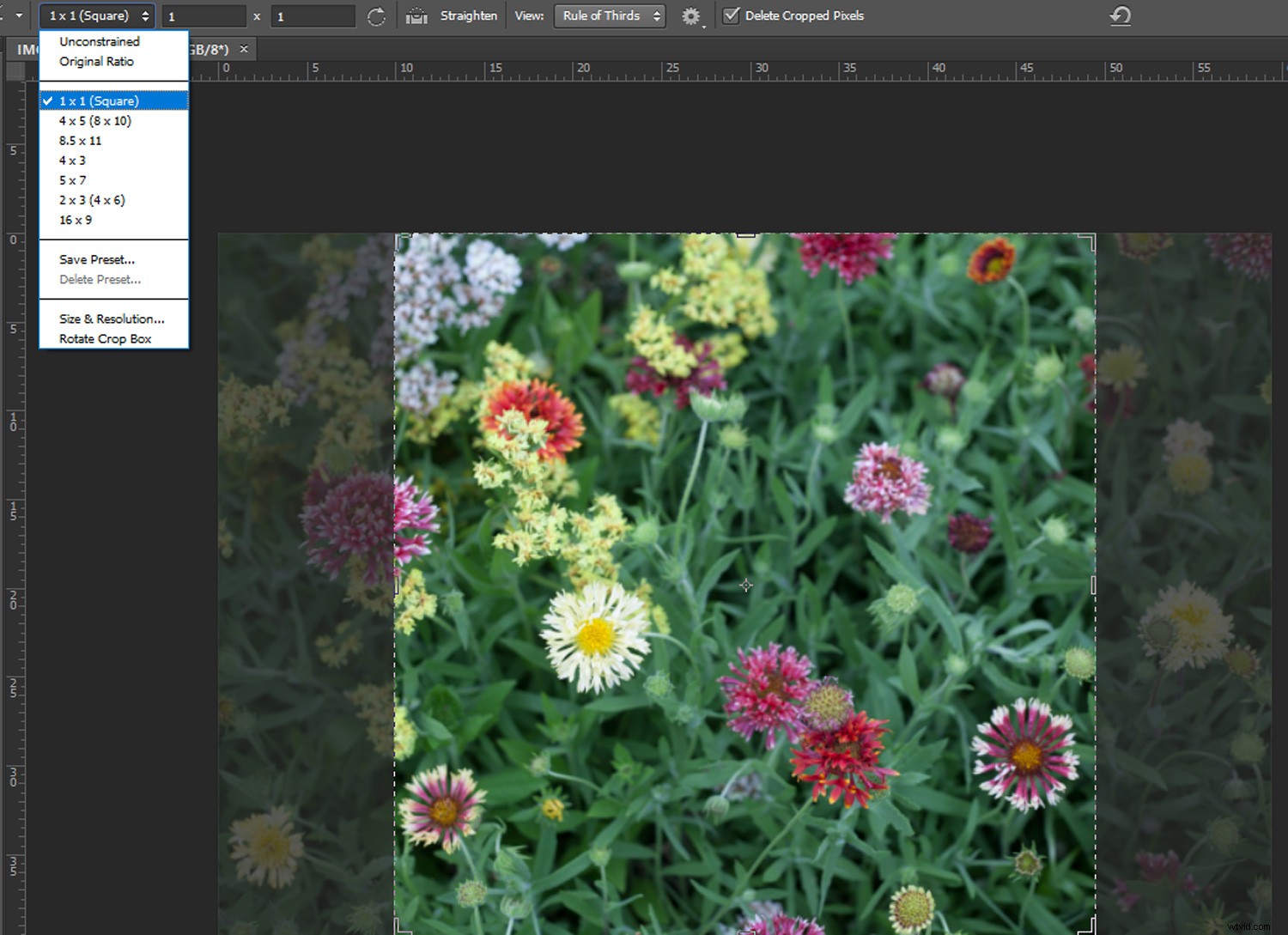 Create Authentic Toy Camera Effects in Photoshop: Step-by-Step Guide