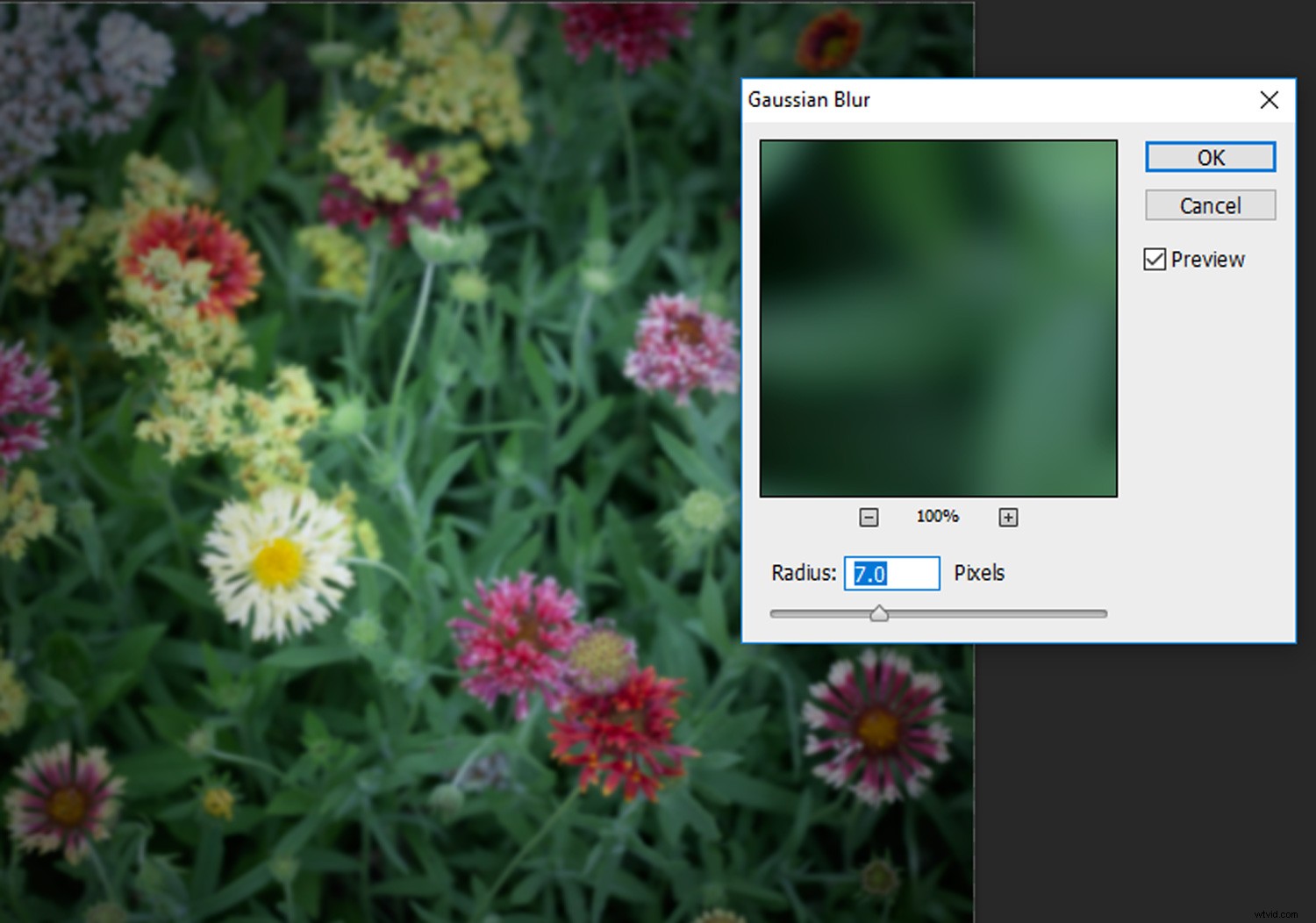 Create Authentic Toy Camera Effects in Photoshop: Step-by-Step Guide