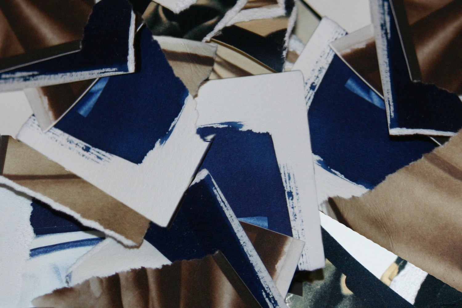 Create Stunning Digital Cyanotypes in Photoshop: Easy Step-by-Step Guide