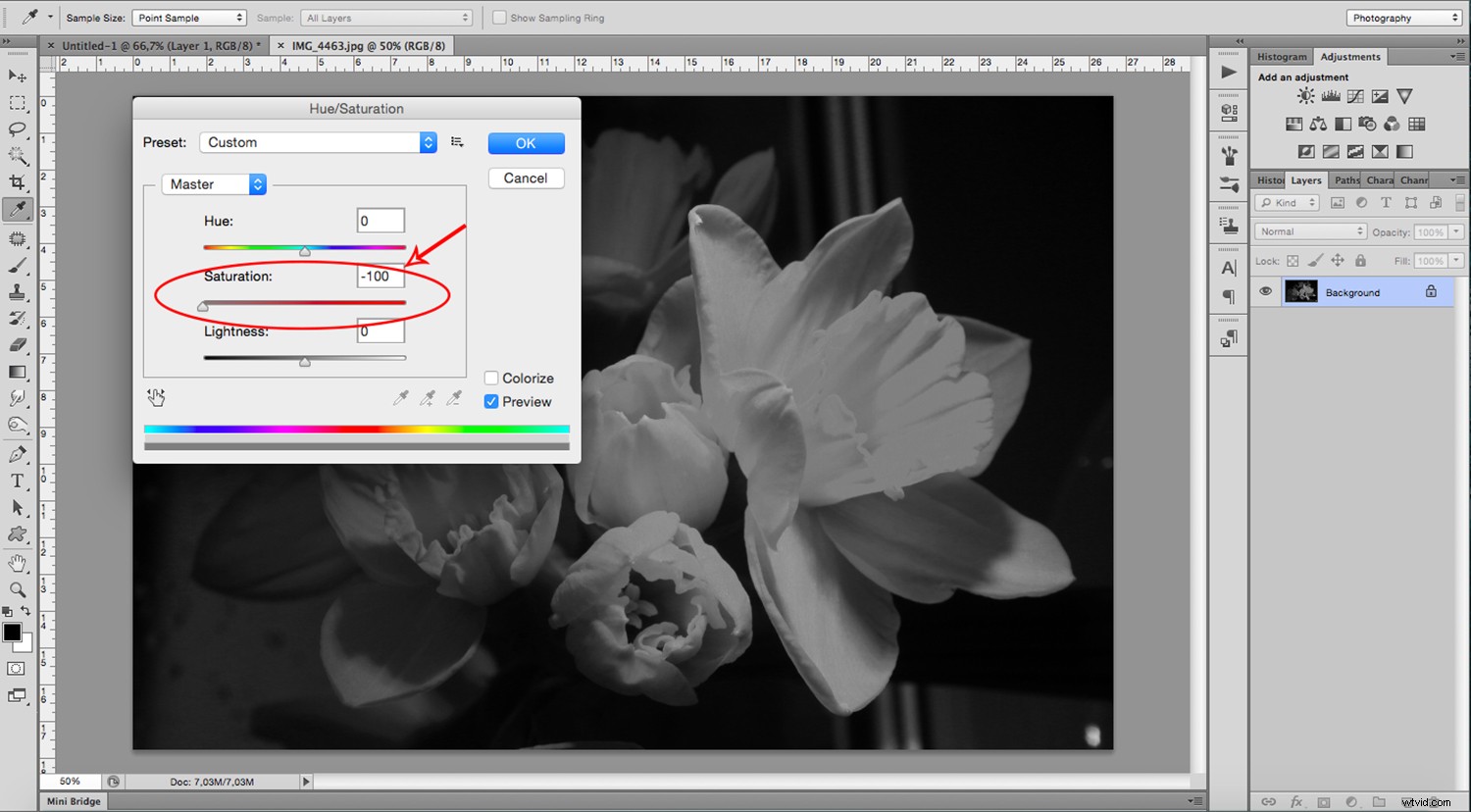 Create Stunning Digital Cyanotypes in Photoshop: Easy Step-by-Step Guide