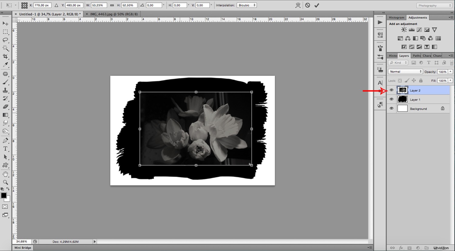 Create Stunning Digital Cyanotypes in Photoshop: Easy Step-by-Step Guide